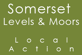 Somerset Levels and Moors Local Action